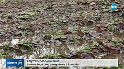 БЕДСТВЕНО ПОЛОЖЕНИЕ: Община Брегово остава в готовност за евакуация