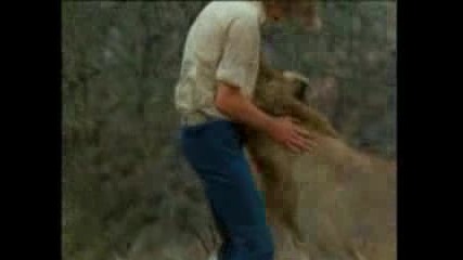 Christian The Lion - The Full Story In Hq