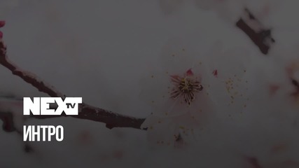 NEXTTV 040: Интро