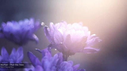 Skyflair - That One Time