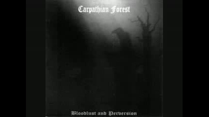 Carpathian Forest - Call from the grave [bathory Cover]