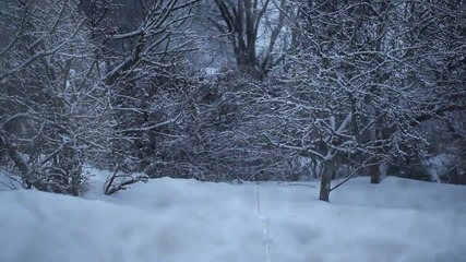 Поздравявам всички потребители на Vbox7 С тази прекрасна коледна песен :)