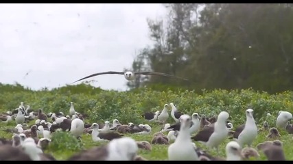 Какво причиняваме на природата тъжно видео