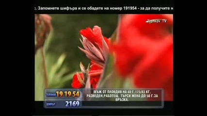 магдалена желяскова - доно ле мъри хубава
