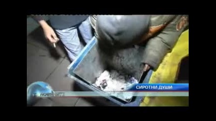 Скитащи Деца в София През Нощта 
