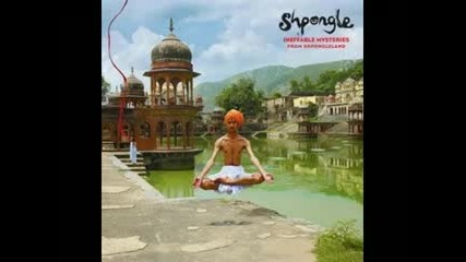 Shpongle - Invisible Man In A Fluorescent Suit 