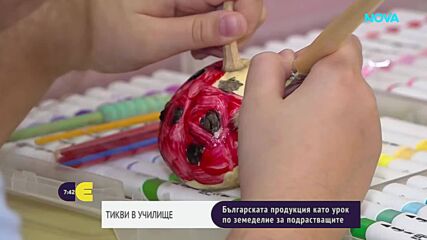 От полето с тикви до класната стая: Как една българска фермерка учи децата на любов към храната