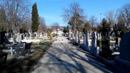 Vid_20161210_131131