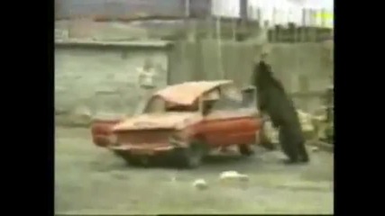 Мечки разбойници 