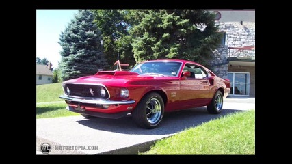 Ford Mustang Hot Collection !