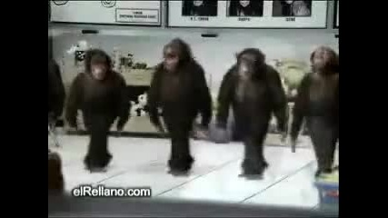 Танца на маймунките