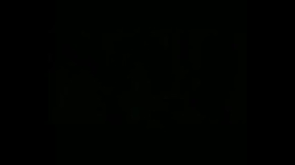 Cursed Trailer