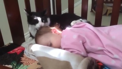 Котка и бебе