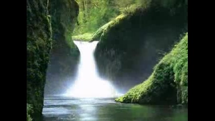 Beautiful Nature 
