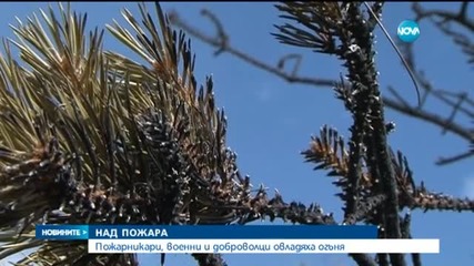 Трети ден се борят с пожара в Рила (ОБЗОР)