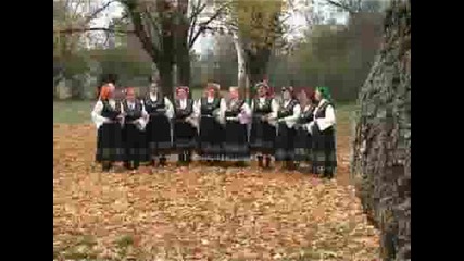 Фолклорнаф група Село Лесное