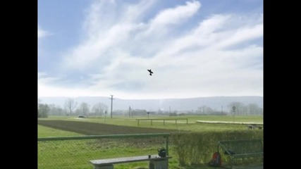 aerofly professional deluxe - yak - 54 