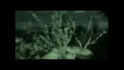 bad company-ultra-high-definiti