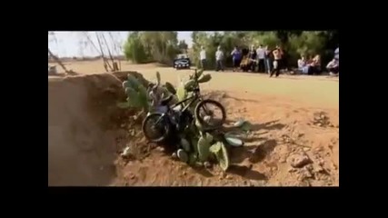 Best Jackass Moments