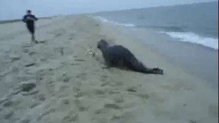 Моята риба! Не е Ваш печат! Видео