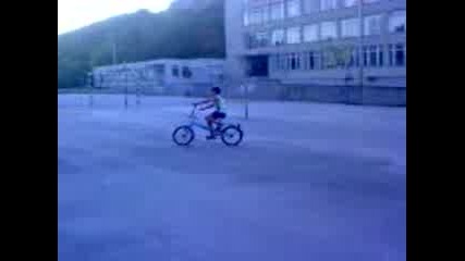 dani kara koleloooo