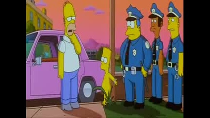 Simpsons Anthem