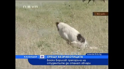 Търсят се овчари и овце
