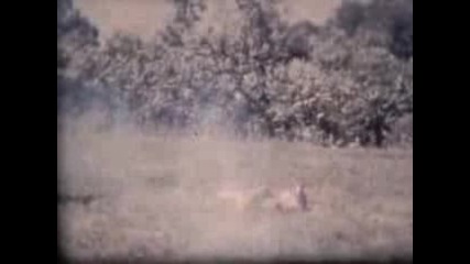 Kansas - Dust In the Wind