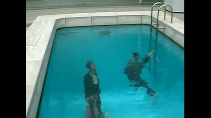 Японски фалшив басейн