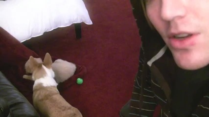 Charlie Bit Me kinda... 