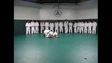 Основи На Gracie Jiu Jitsu 