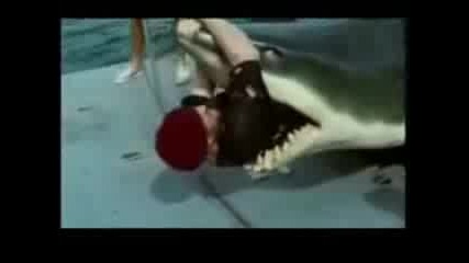 - Човек излиза от устата на акула 