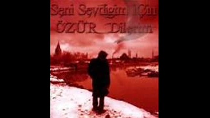 Seni Sevdiдџim Д°г§in Г–zгјr Dilerim.flv