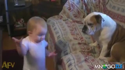 Бебе разбива булдог в словесен спор