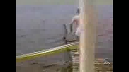 Funny Fals