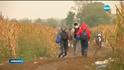Разселват първите бежанци по квотната програма на ЕС