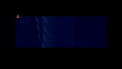 Сигнал - Исках Само Теб