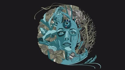 Bon Iver - Woods (zeds Dead Remix)