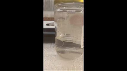 Паразити във водопровода