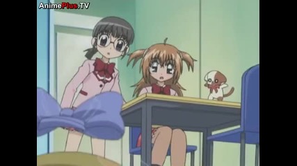 Kirarin Revolution episode 95