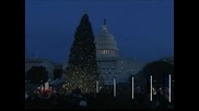 Запалиха светлинките на коледната елха на Капитолия