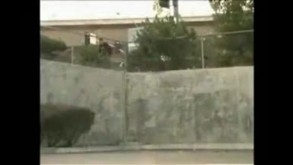 Best Of Ryan Sheckler 2009 