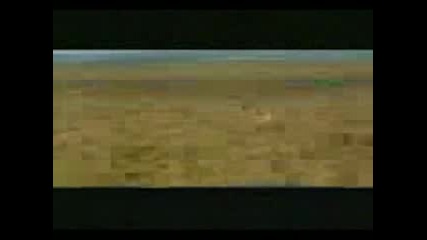 Antilope