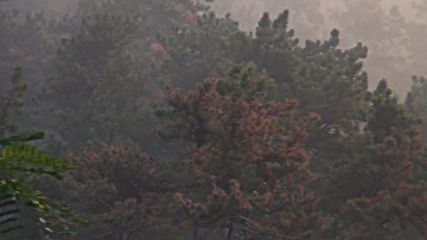 Над 100 декара горски масиви горят край Карлово