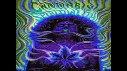 DJ Ghost - Universal Nation