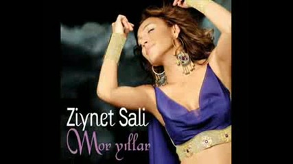 Ziynet Sali & Dj Onur - Neyse 2008