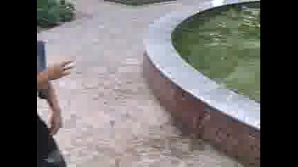 парти 