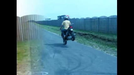 Cygan Stunt Dds