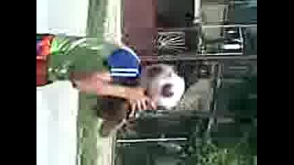 Gagi Tapia