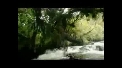 Man Vs. Wild Най - Доброто От Bear
